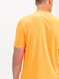 Sjeng Sports, Basics, Men, Shirts, Tenniskleding, NOOS