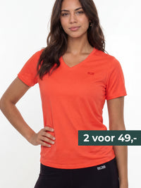 INES