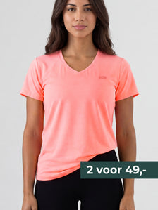 INES